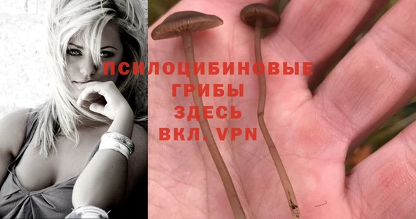 эйфоретик Алексеевка