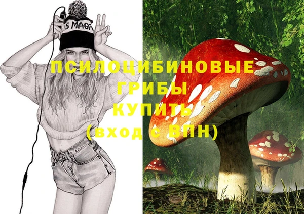 эйфоретик Алексеевка